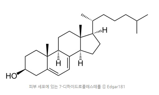 비타민D