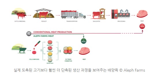 미래의 먹거리 배양육