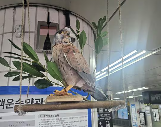 신도림역 깜짝