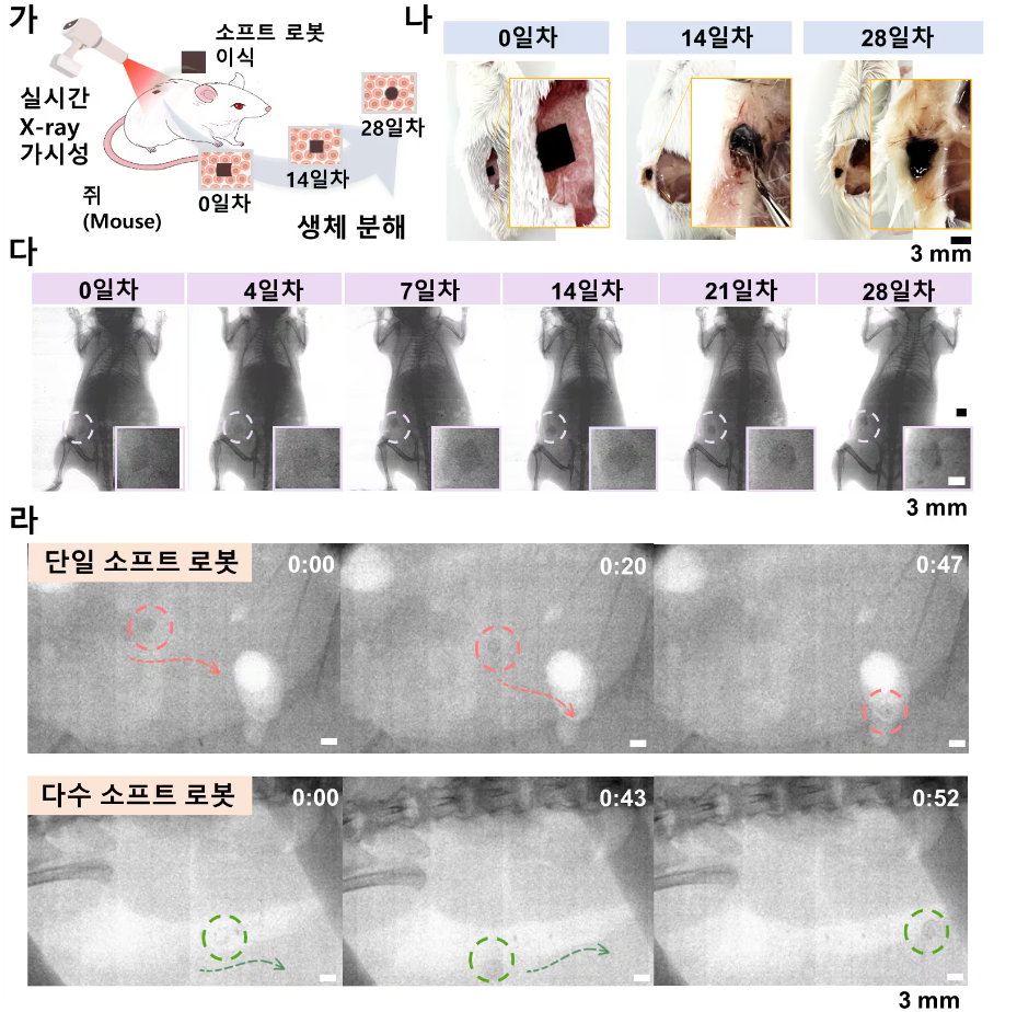 치료 끝나면 몸