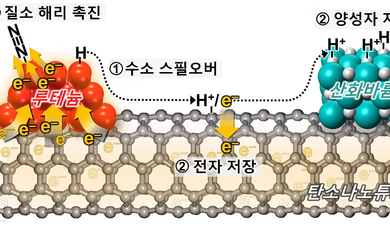 KAIST 성능 7배 높인 친환경 암모니아 촉매 개발