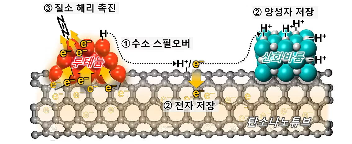 KAIST 성능 7배 높인 친환경 암모니아 촉매 개발