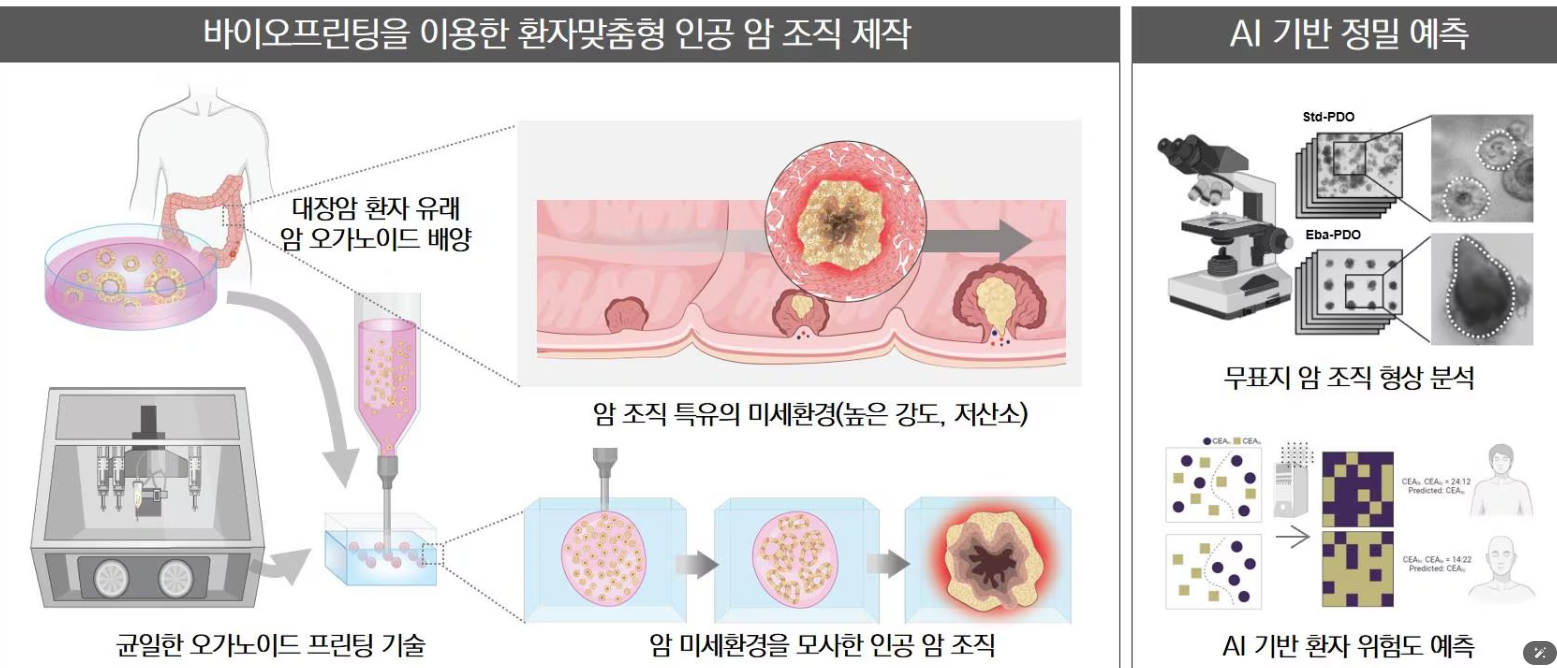 실제 암세포로 키운 인공 종양에 AI 적용